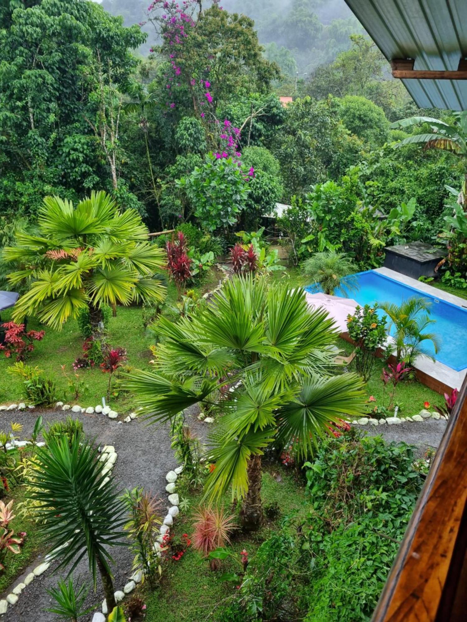 Mindo Green House Luaran gambar
